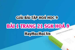 Giải bài 1 trang 21 SGK Hoá 9: Luyện tập tính chất hoá học của Oxit Axit